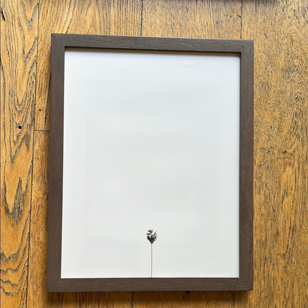 Max Wanger Lone Palm Art Print framed in ikea frame